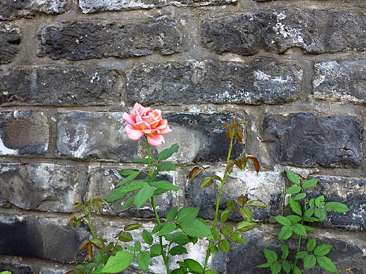 �����¼�