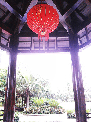 ��ͤ�µĺ����