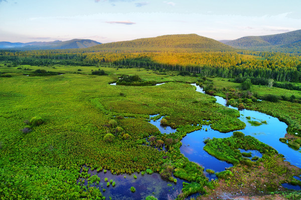 ɭ����ˮ֮��-���ڶ���