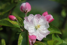 �һ������ͻ���