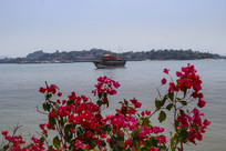 ���ŷ���ʻ�