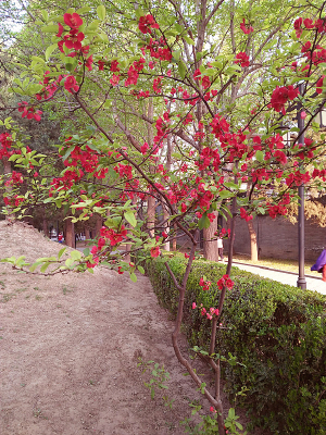 һ�ú�����