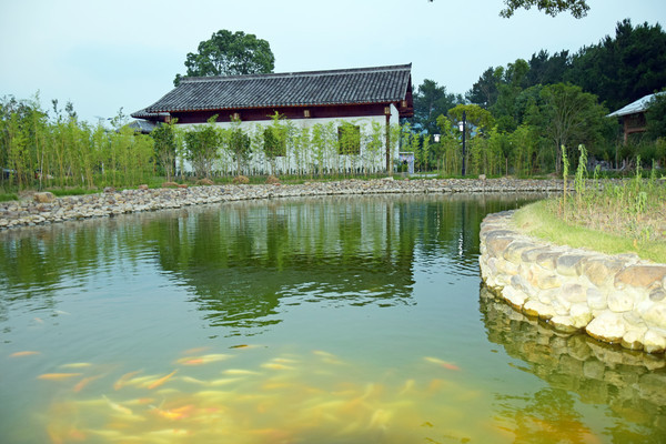 ��԰��ķ¹Ž���