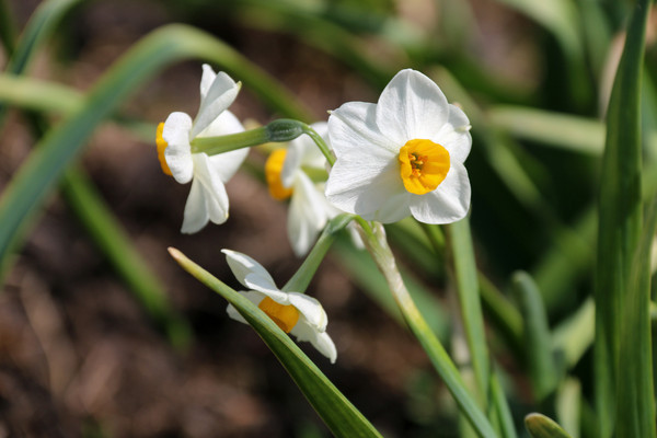 ���ͻ���