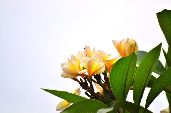 ��������д