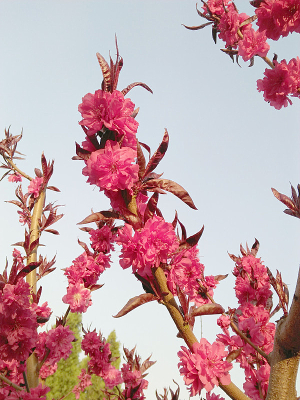 ���࿪�ŵ��һ�