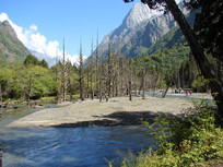 ��ԭ����