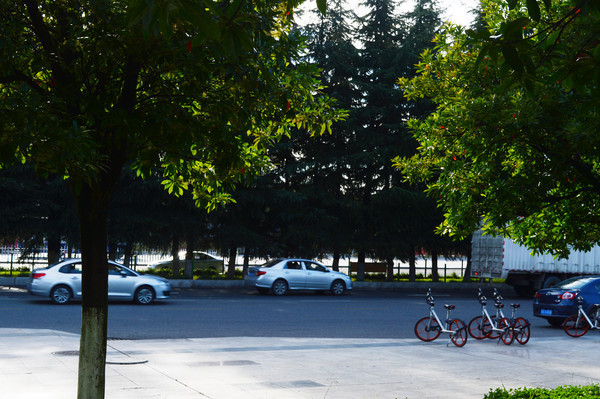 С����ͣ�ŵĽγ��͹�������