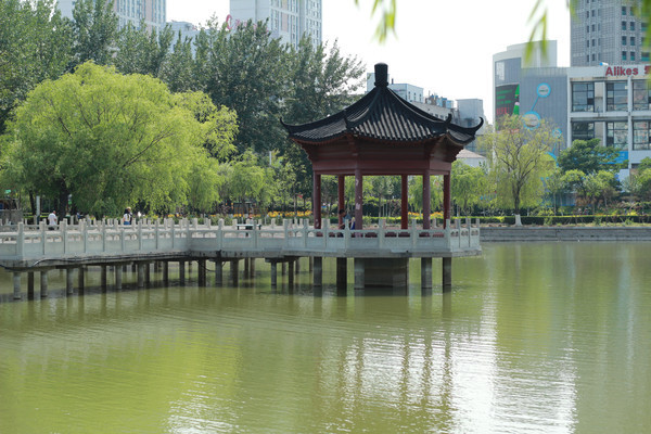 ������ͤ