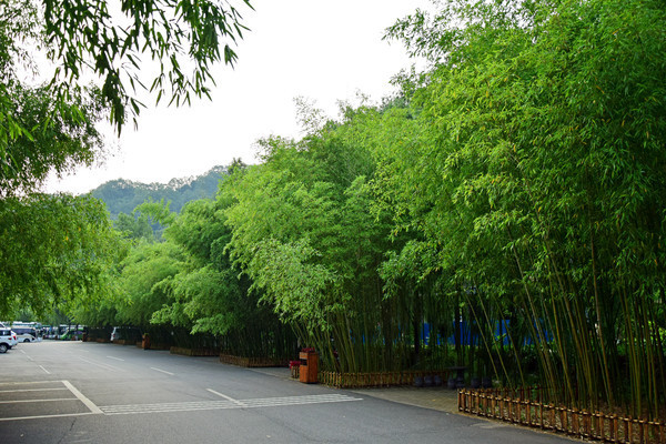 ·�ߵ����ַ羰��Ӱͼ