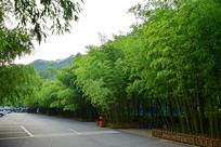 ·�ߵ�����