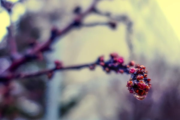 δ��������÷