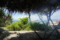 ���Ϻ�������