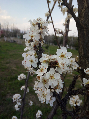 �������滨��Ӱ