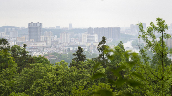 ����������С��