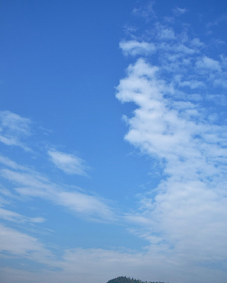 �����İ�ɫ�ƶ�