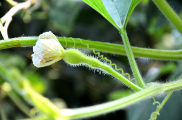 ������ë��С��«