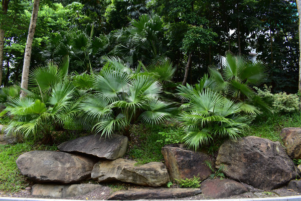 ����԰һ��