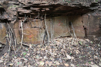 ����ʯ��