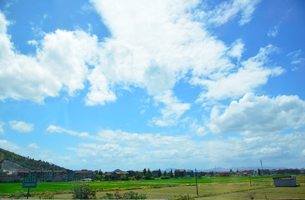 ������ƺ�ԭҰ