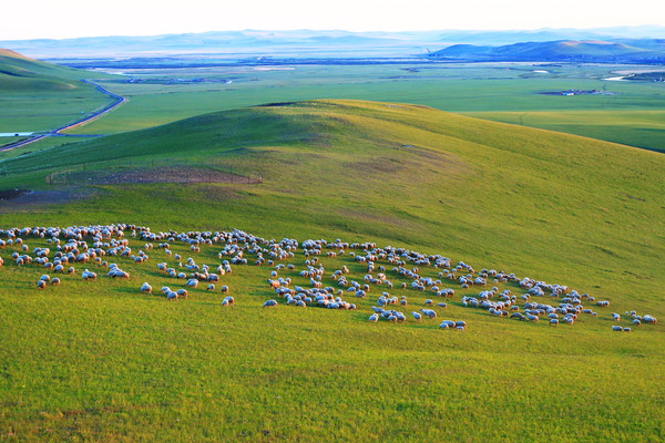 ��ɫ������Ⱥ