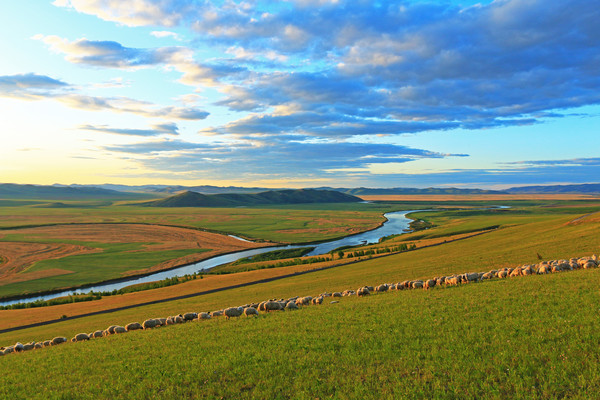 ����������Ⱥ