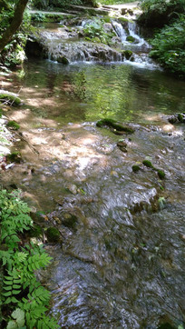 ���ֵ�С�����羰