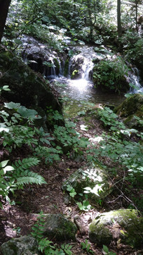 �����еĺӵ�����