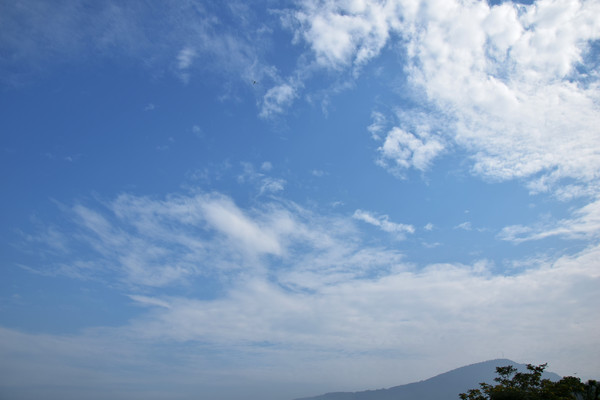 ����еı����Ʋ�