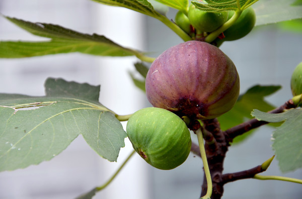 �޻�����ʵ