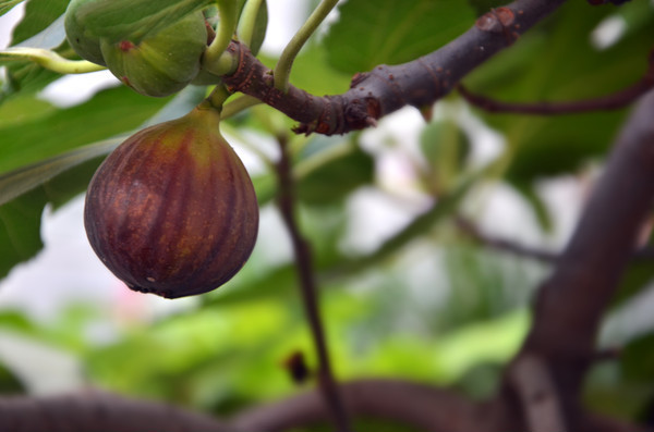 �޻�����д