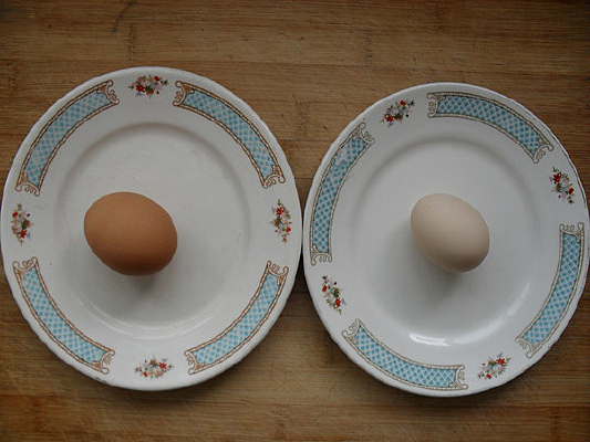 ��Ƥ�Ҽ�������ͨ����