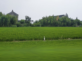 ����Ͱ���