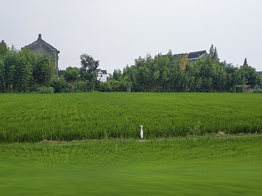 ����Ͱ���