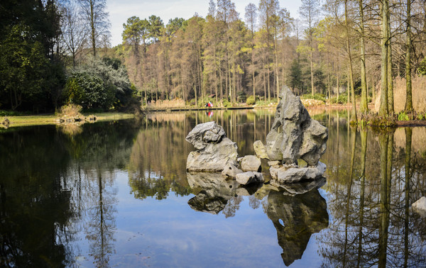 ʯ������