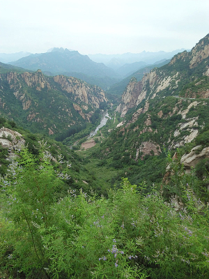 ��������Ĵ�ɽ