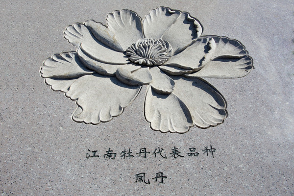 ʯ���Ϸﵤĵ����