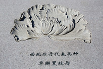 ��ĵ����