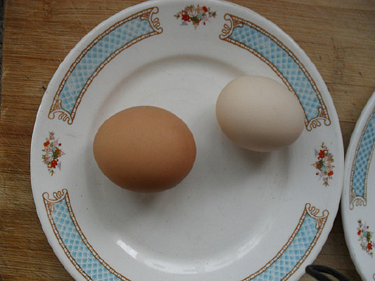 ����������ͨ�����ĶԱ�