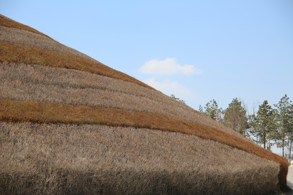 ������ͼƬ