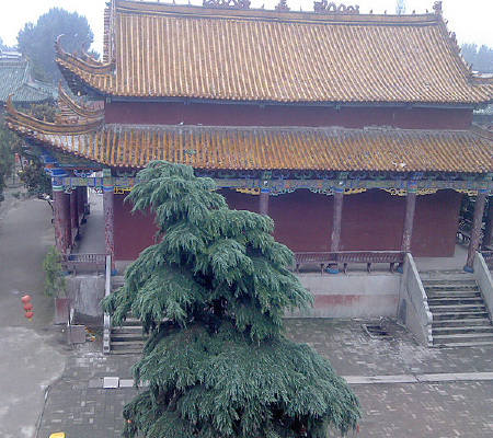 ��ɫ������