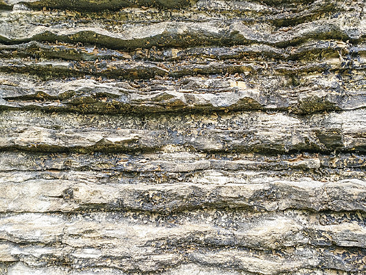 ������ʯ