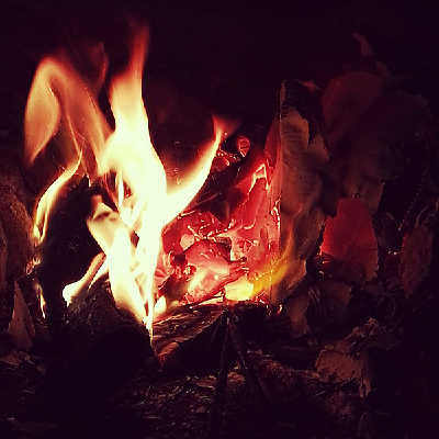 ��Ű�Ļ���