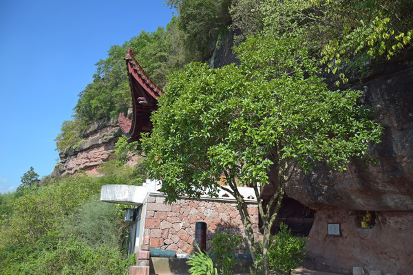 ��ɽ���Ե�����