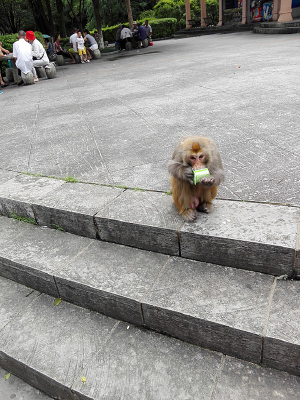 �����̵ĺ���