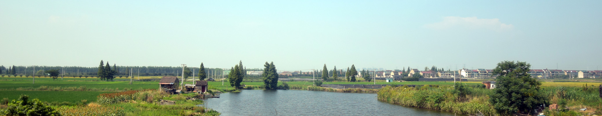 ԭҰ�ϵ�΢������