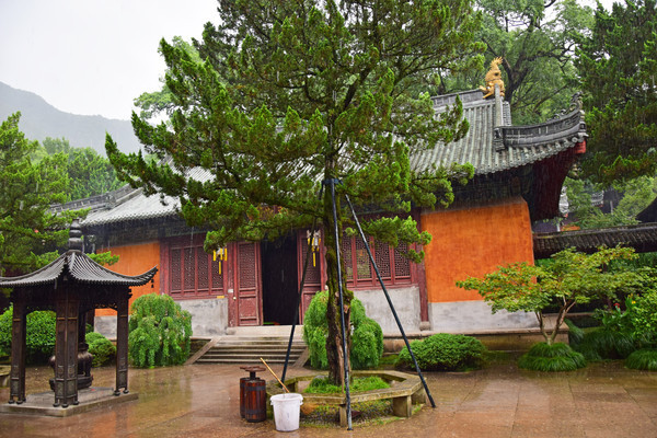 ���еĹ����¹Ž���