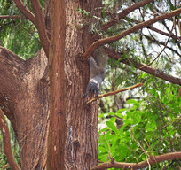 ���ϵ�����