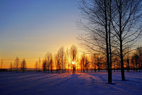 ѩԭ����Ϧ��