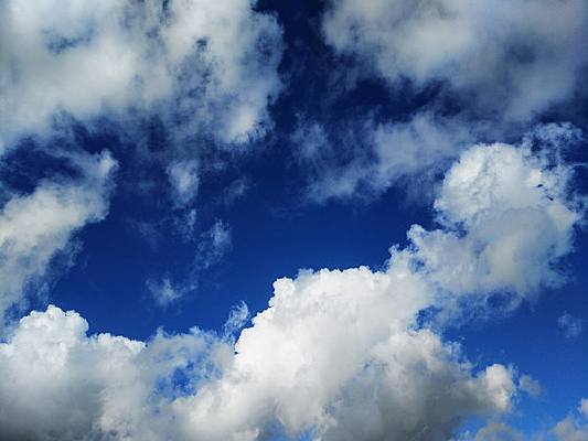 ��ɫ������